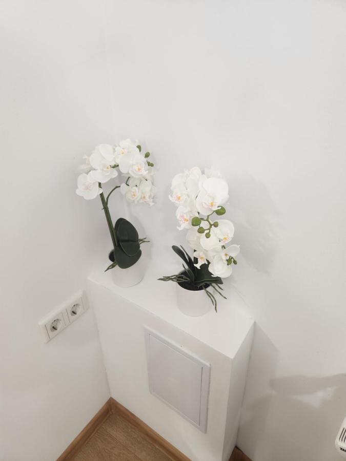 Apartman Zagreb Cca 42M2 With Free Parking Екстер'єр фото
